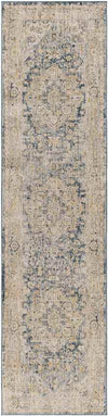 Harcourt Traditional Ice Blue Area Rug