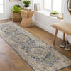 Harcourt Traditional Ice Blue Area Rug