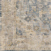 Harcourt Traditional Ice Blue Area Rug