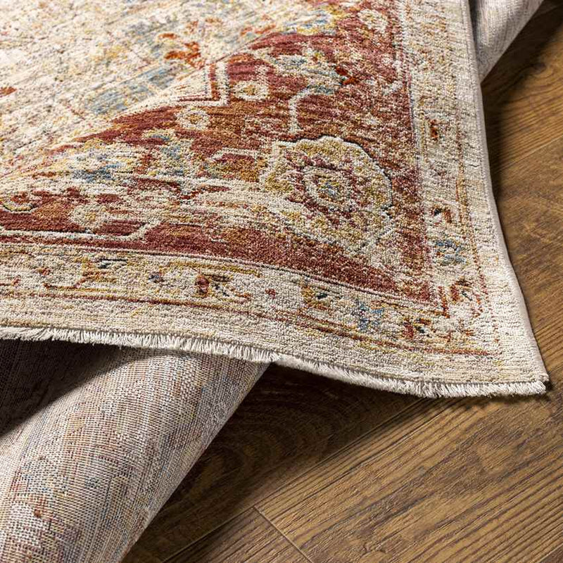 Harcourt Traditional Rust Area Rug