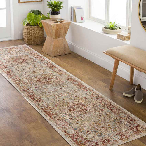 Harcourt Traditional Rust Area Rug