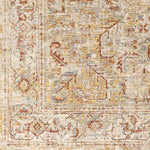 Hartley Traditional Rust Area Rug