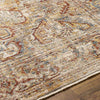Hartley Traditional Rust Area Rug