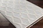 Ammochostos Global Gray Area Rug
