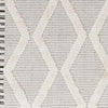 Ammochostos Global Gray Area Rug