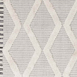 Ammochostos Global Gray Area Rug