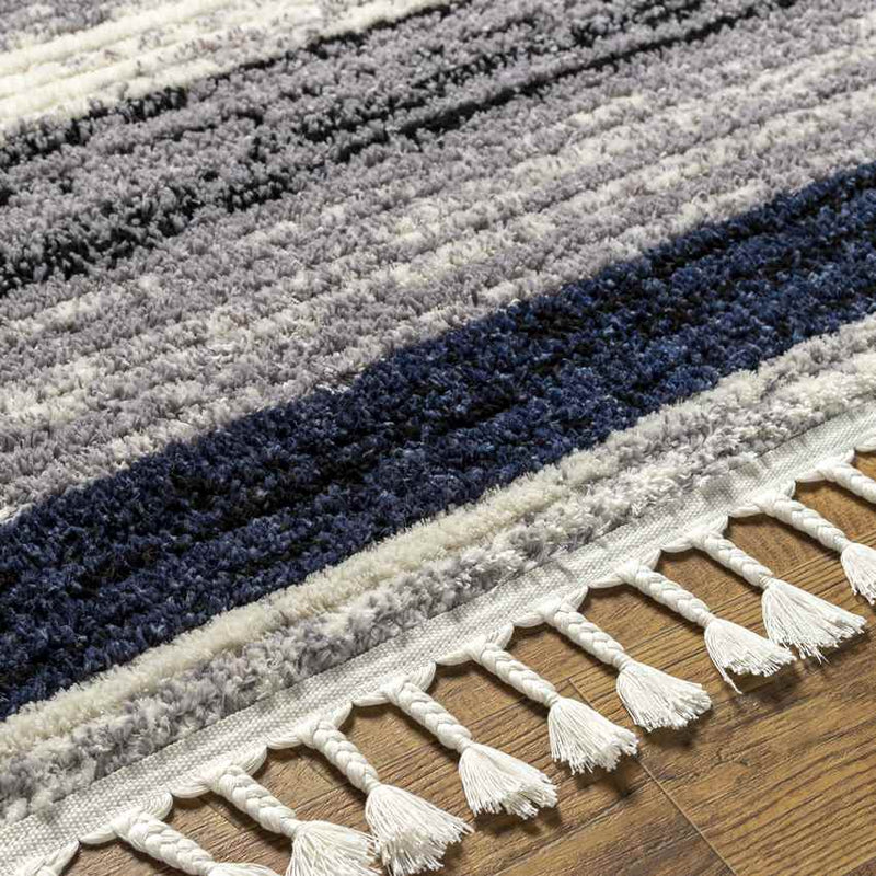 Vasilia Modern Black Area Rug