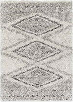 Hedrick Global Charcoal Area Rug