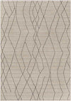 Zygi Global Beige Area Rug