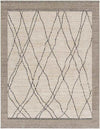 Chloraka Global Beige Area Rug