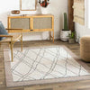 Chloraka Global Beige Area Rug