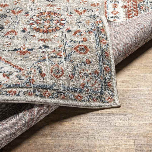 Ladora Traditional Ivory Area Rug