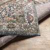 Lake Mills Traditional Cream Area Rug