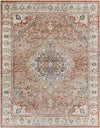 Lake Park Traditional Burnt Orange Area Rug