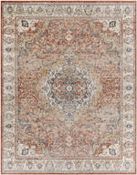 Lake Park Traditional Burnt Orange Area Rug