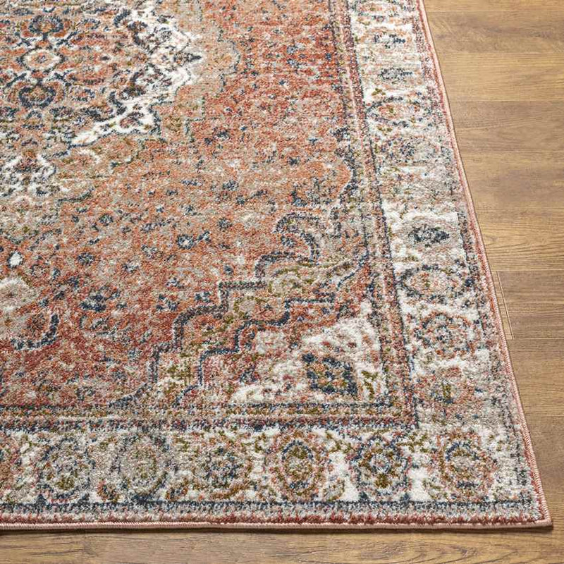 Lake Park Traditional Burnt Orange Area Rug