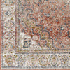 Lake Park Traditional Burnt Orange Area Rug