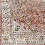 Lake Park Traditional Burnt Orange Area Rug