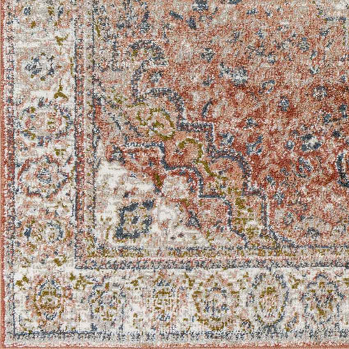 Lake Park Traditional Burnt Orange Area Rug