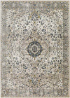 Lake View Traditional Ivory Area Rug