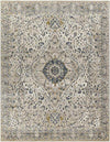 Lake View Traditional Ivory Area Rug