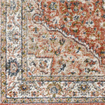 Lamoni Traditional Burnt Orange Area Rug