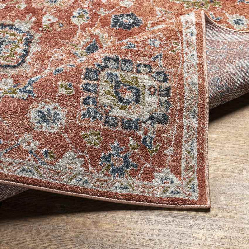 Larchwood Traditional Burnt Orange Area Rug