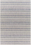 Pau Global Navy Area Rug