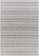 Pau Global Navy Area Rug