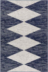 Platanistasa Global Dark Blue Area Rug