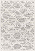Perivolia Global Light Gray Area Rug
