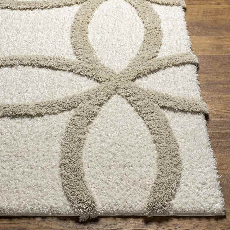 Vasillios Traditional Ivory Area Rug