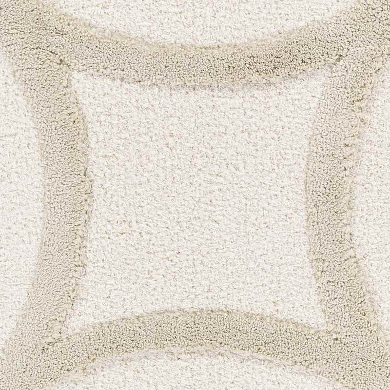 Vasillios Traditional Ivory Area Rug