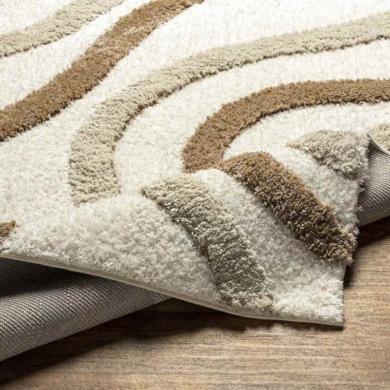 Morfou Modern Burnt Orange Area Rug
