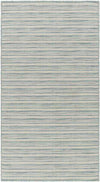 Acheri Modern Teal Area Rug