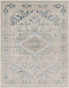 Pachna Traditional Beige Area Rug