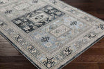 Trikomou Traditional Charcoal Area Rug