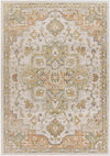 Deftera Traditional Burnt Orange Area Rug