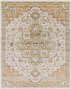 Deftera Traditional Burnt Orange Area Rug