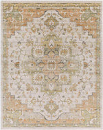 Deftera Traditional Burnt Orange Area Rug
