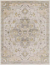 Deftera Traditional Gray Area Rug