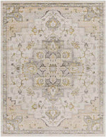 Deftera Traditional Gray Area Rug