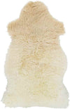 Kampou Modern Cream Area Rug
