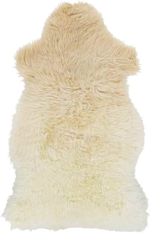 Kampou Modern Cream Area Rug