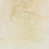 Kampou Modern Cream Area Rug