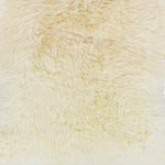 Kampou Modern Cream Area Rug