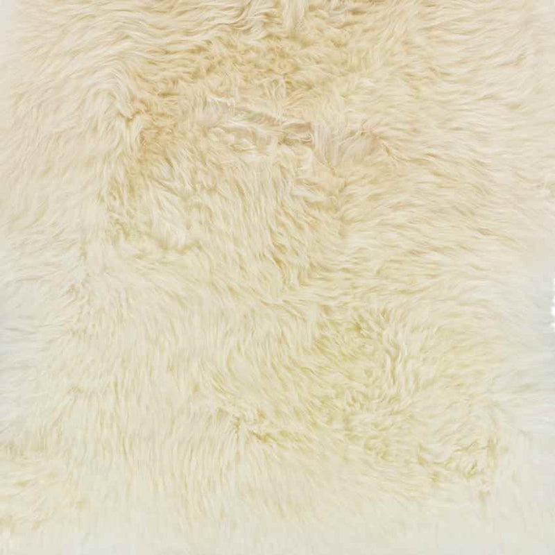 Kampou Modern Cream Area Rug