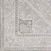 Assia Traditional Gray Area Rug