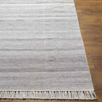 Marinouda Modern Light Gray Area Rug