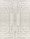 Kyra Modern Light Gray Area Rug
